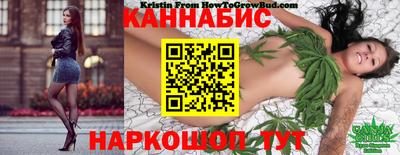 спайс Ефремов