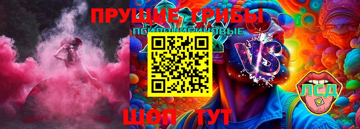 Вольск  Псилоцибиновые грибы мухоморы  Вход с VPN 