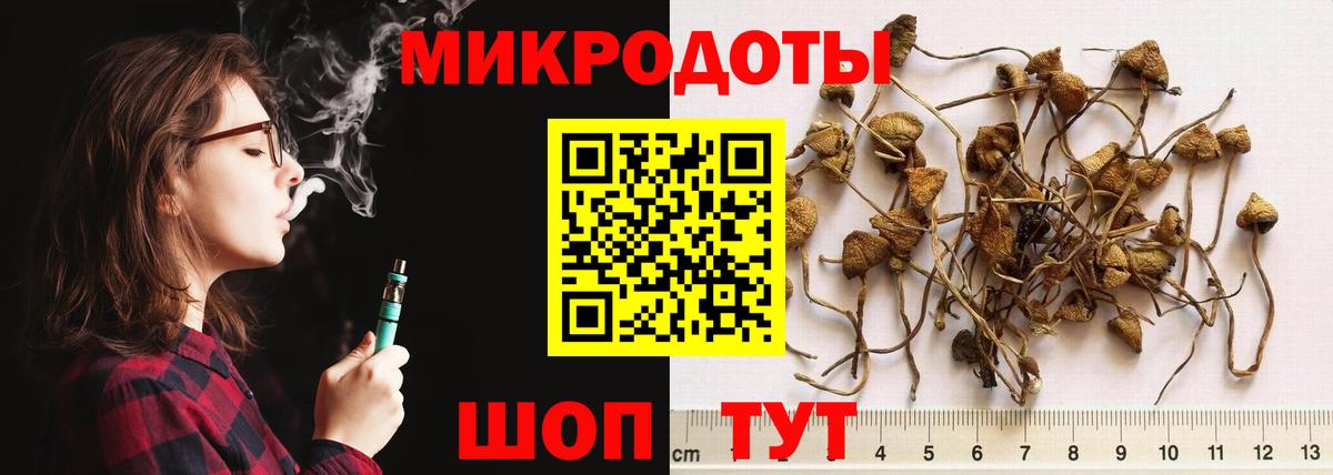 Галлюциногенные грибы MAGIC MUSHROOMS Вольск